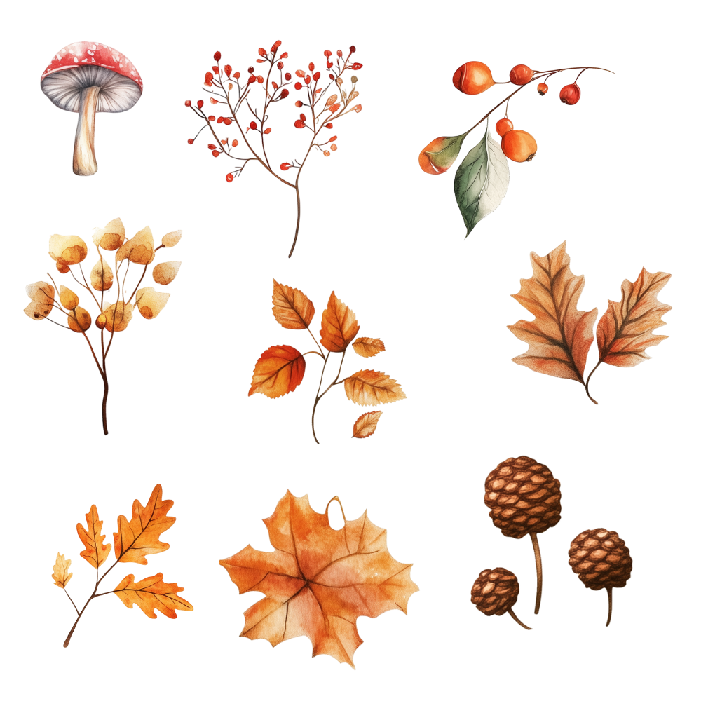 cozy autumn digital stickers
fall aesthetic stickers
autumn leaves stickers digital download
pumpkin spice digital stickers
fall stickers for digital planners
autumn scrapbooking stickers
printable fall stickers