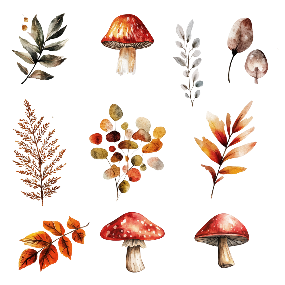 fall aesthetic stickers

autumn leaves stickers digital download

pumpkin spice digital stickers

fall stickers for digital planners

autumn scrapbooking stickers

printable fall stickers